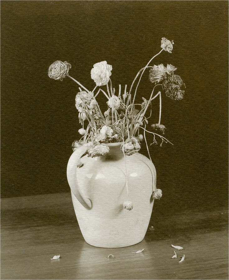 Palladium Still life Faded Glory